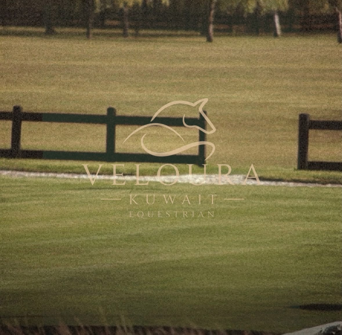 VELOURA logo over an equestrian field